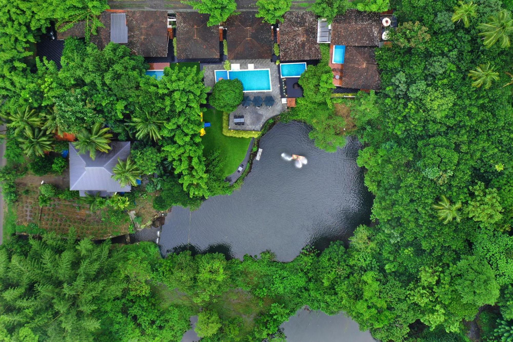 อาทิรัปปิลลี กรีน ทรี รีสอร์ต Hotel อทิราพาลลี ภายนอก รูปภาพ